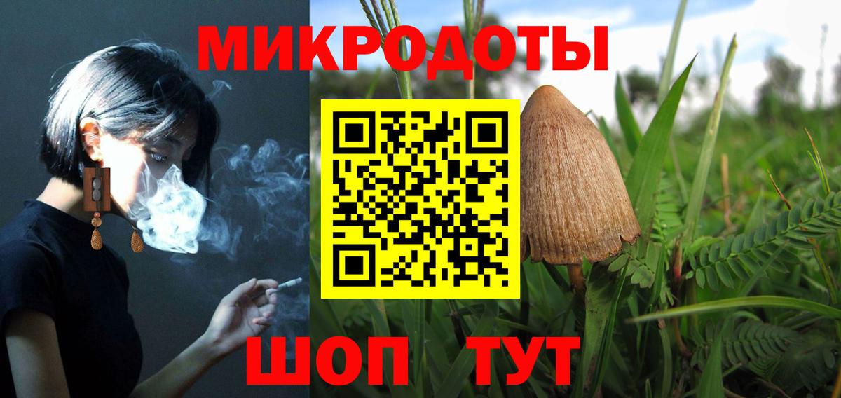 Галлюциногенные грибы прущие грибы Вольск