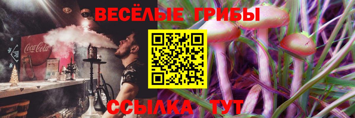 Вольск  Гашиш  Каннабис  Меф МЯУ МЯУ   Вход с VPN  Купить  Лсд 25 